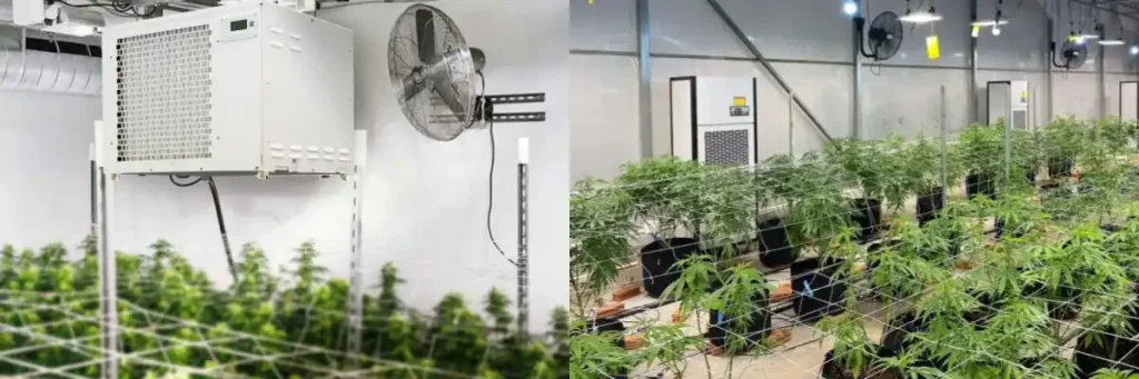 Vertical floor-standing and wall-mounted overhead Dehumidifier for greenhouse applications in a grow room setting