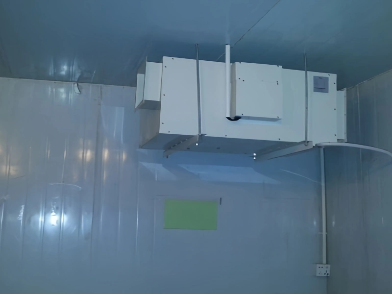 Industrial dehumidifier unit mounted on a ceiling for a crawl space.