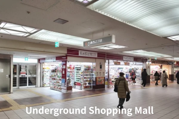 Underground shopping mall scene illustrating areas suited for commercial dehumidifiers for basements