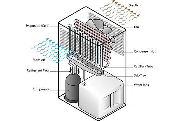 Diagram illustrating the Working principle of industrial dehumidifier including evaporator, condenser, and compressor