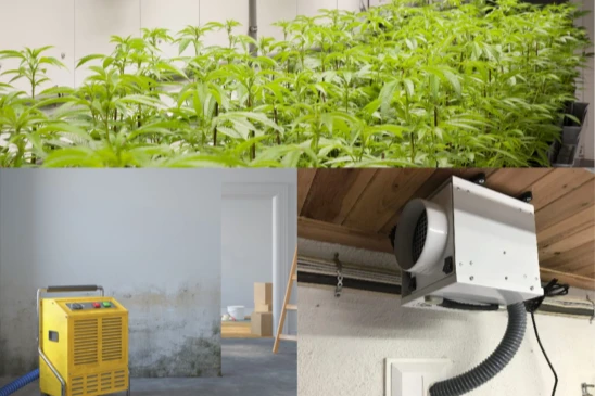 Commercial Dehumidifier for Building and Greenhouse applications, showing usage in various settings.